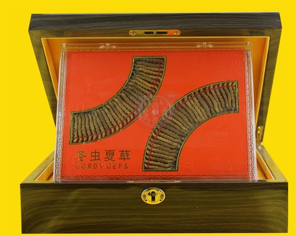 冬虫夏草礼品盒17g