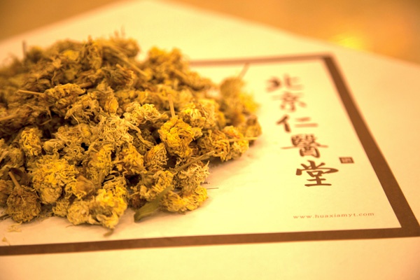 白菊花