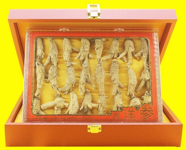 圆尾参 166g